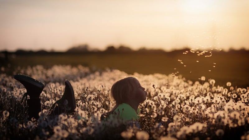 Children playing in nature